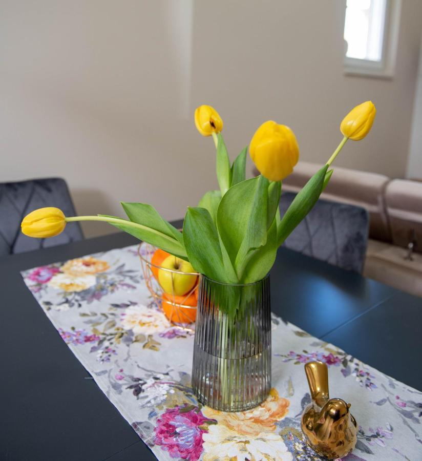 Apartment Mariela Medugorje エクステリア 写真